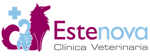 Clinica Estenova
